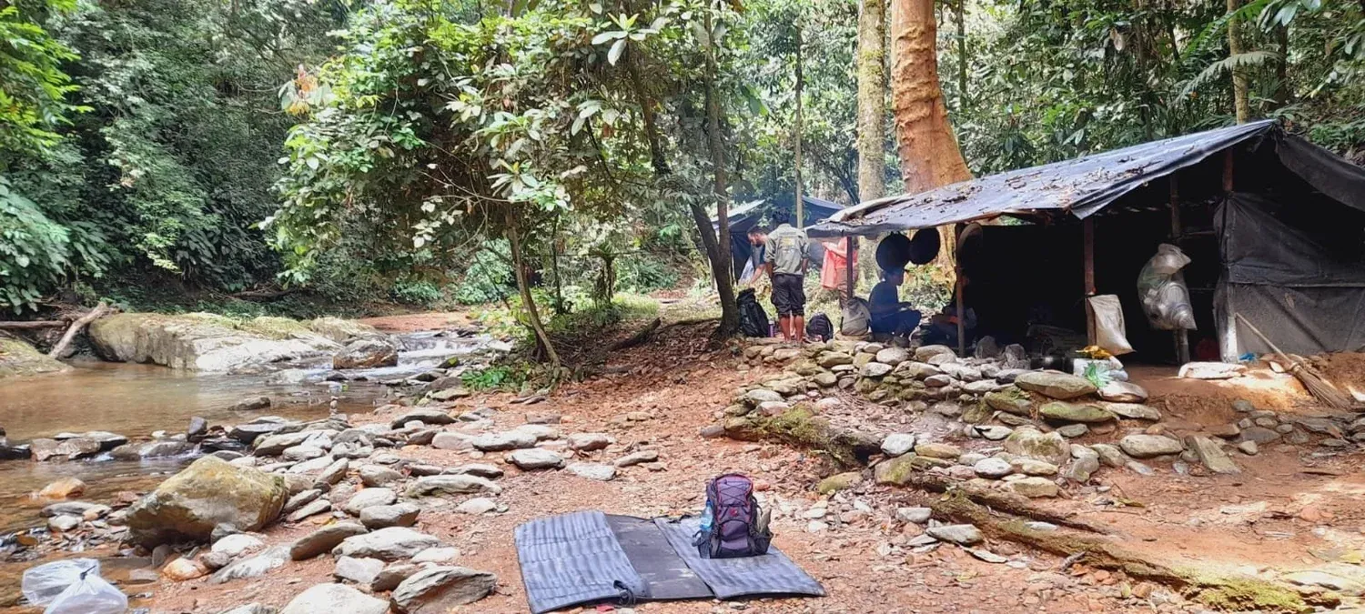 Jungle campsite by the river